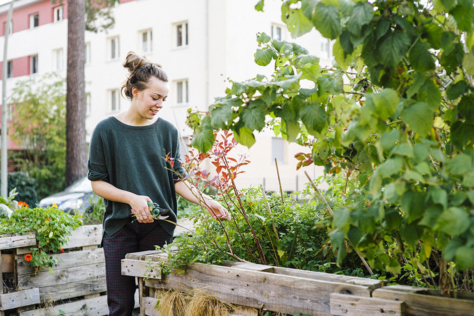 Urban Gardening